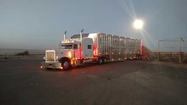 Five Rivers Cattle LLC. - Cimarron Feeders