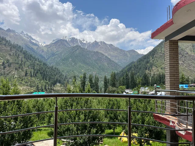 Golden Luck (MANN CAFE)