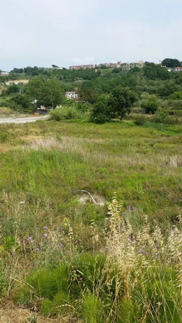 Ristorante La Stella Marina