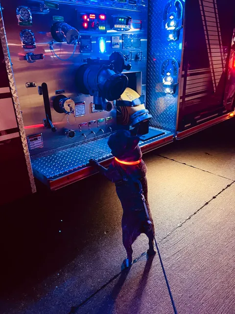 Dalworthington Gardens Fire