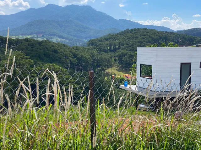 Sú Mỏ Choi - Đà Lạt