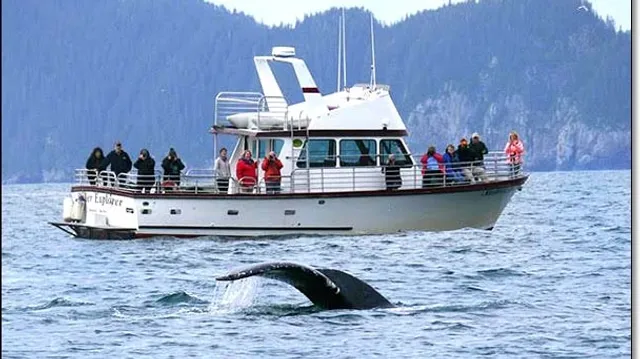 Alaska Saltwater Tours