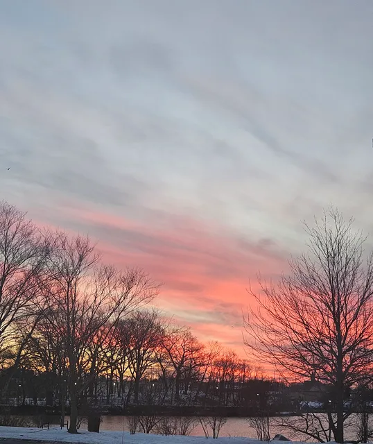 Elliott Street Shopping Plaza