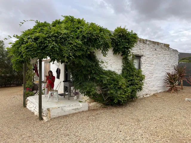 Olive grove Cottage koringberg