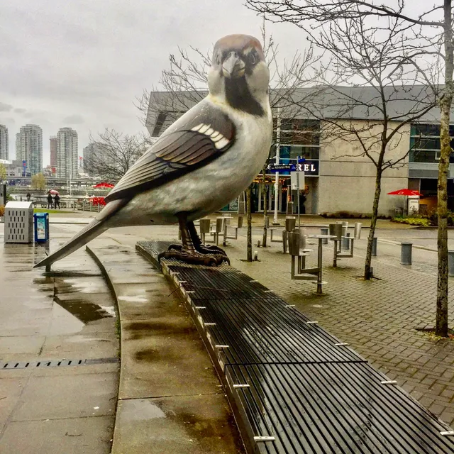 The Birds (Myfanwy MacLeod, 2010)