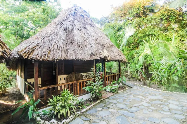 Cohune Palms River Cabanas