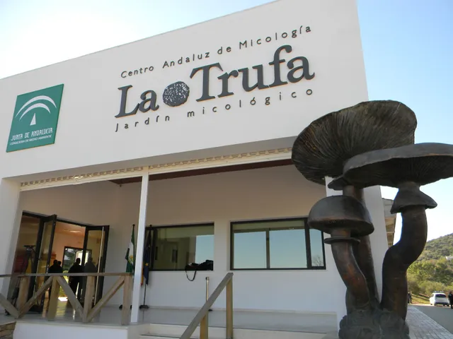 Vivienda Rural Sierra Alcaide