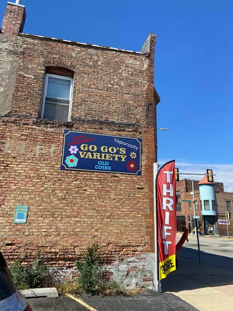 Go Go's Variety Old Coins