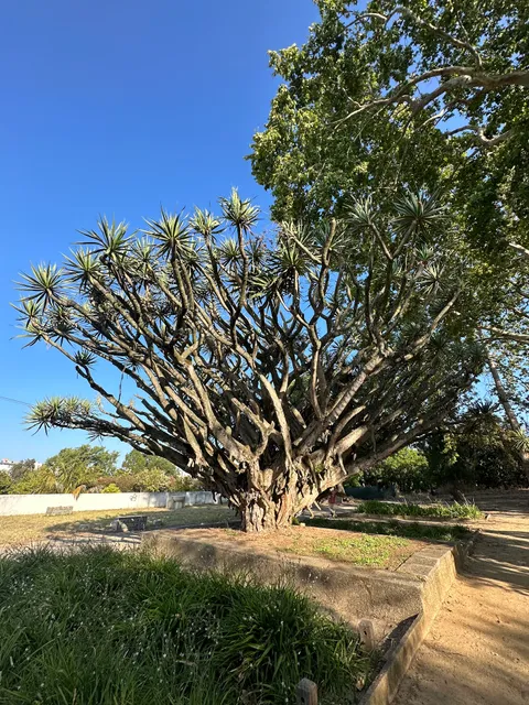 Quinta Conde dos Arcos
