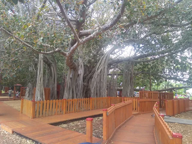 New Farm Park Playground