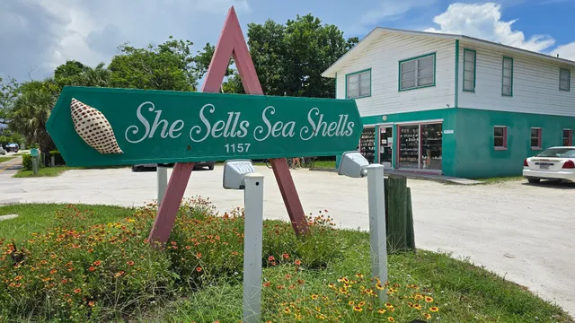 She Sells Sea Shells