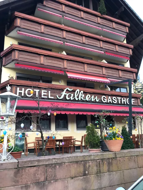 Hotel Falken