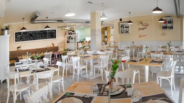 Mater di Amalia Costantini