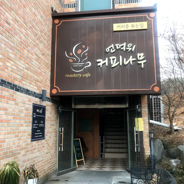 언덕위커피나무