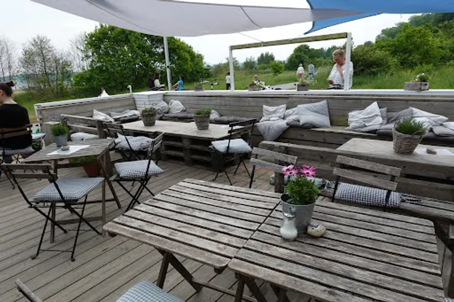 Elephant on the beach