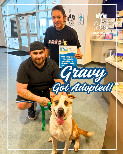 Palm Valley Animal Society-Trenton Center