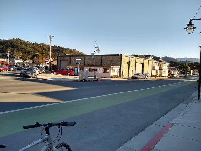 Recology of the Coast