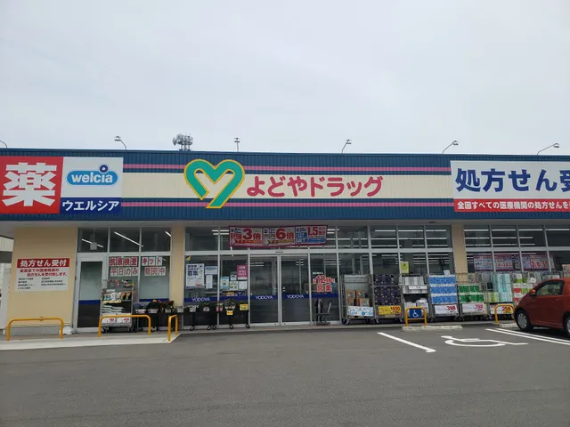 Yodoya Drug Kochi Hijima