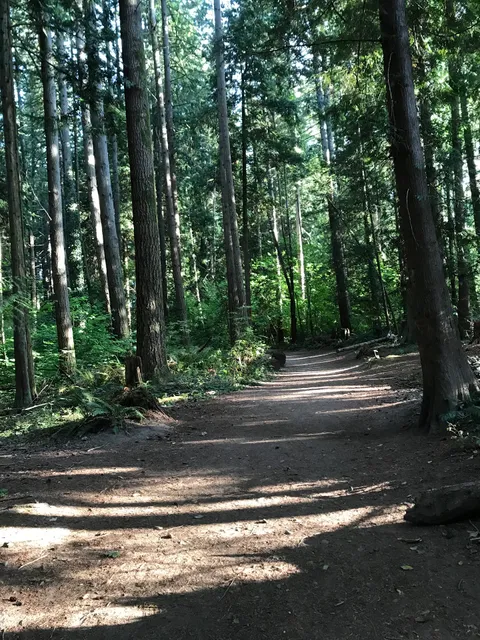 McCollum Park Forest Loop Trail