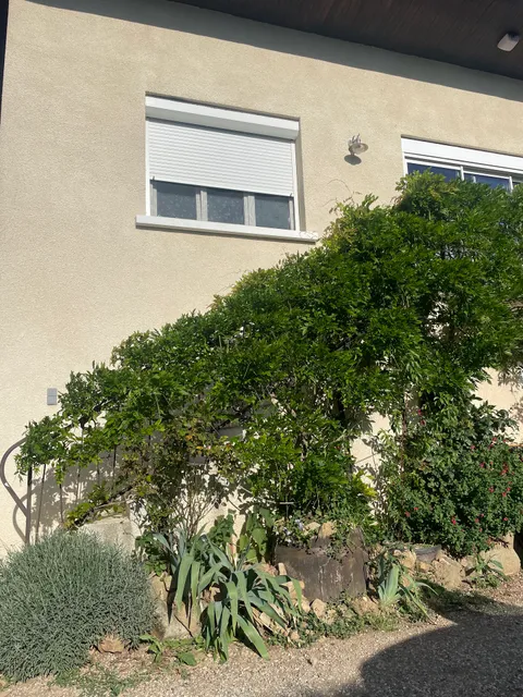 Guest House Domaine Des Grouilleres