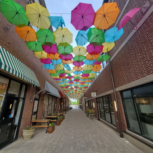 Umbrella Sky Elmhurst