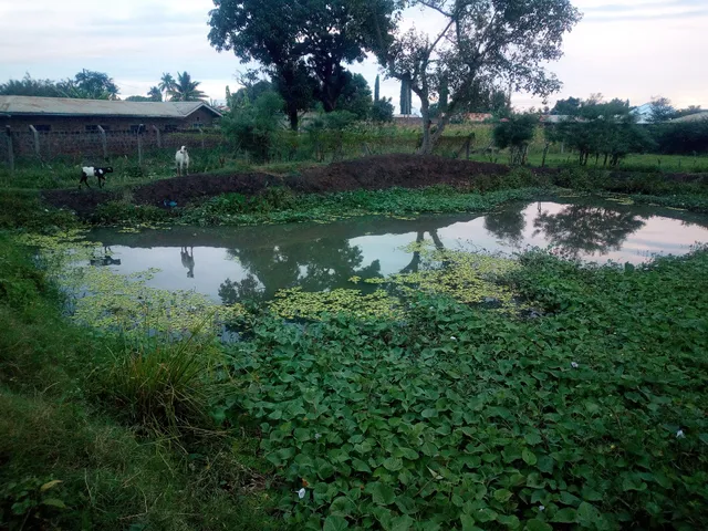 Greenland Guest House