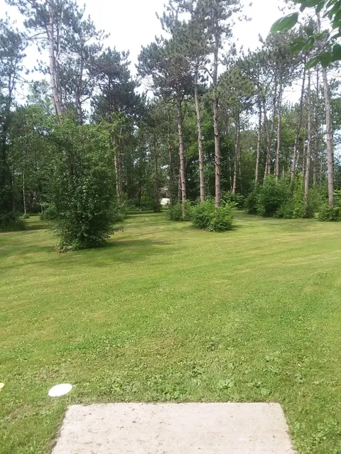 The Pines Disc Golf Course