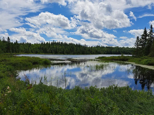 Camping Mosquic Campground