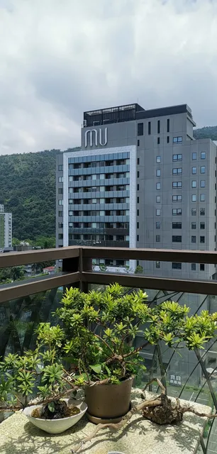 Life Travel No. 1 Spring House