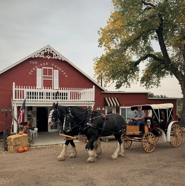 The Carriage Shoppes