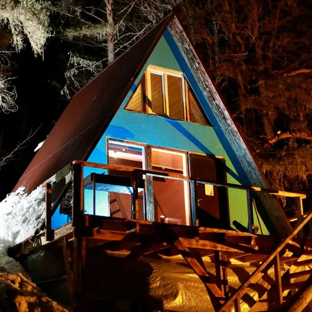 «Лесной Кот»