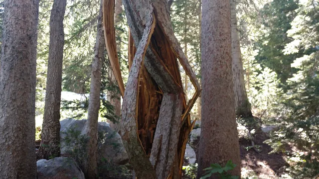 Upper Bells Canyon Reservoir