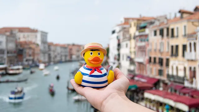 Venice Duck Store - The Original