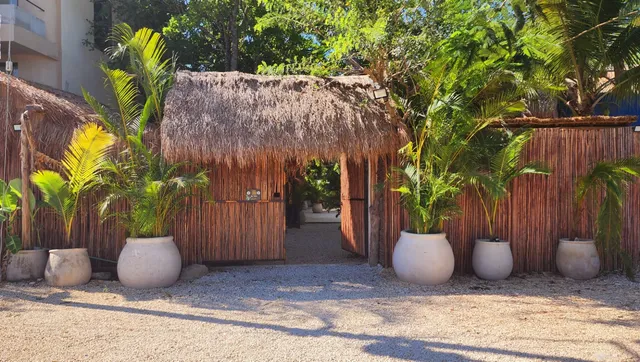 Kin Tulum Jungle Deluxe