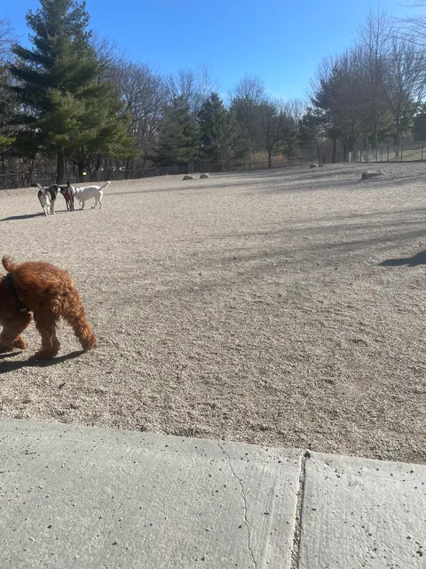 Danehy Dog Park