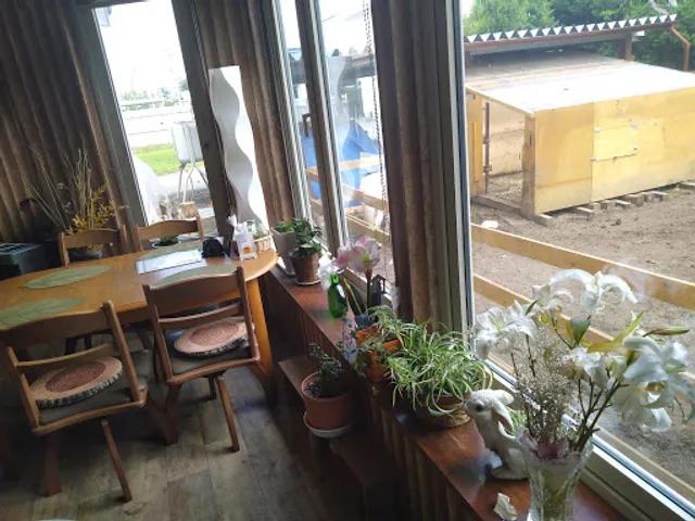 カフェ うさんぽ