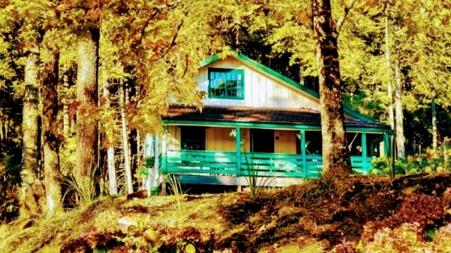 Chalé 1945 - Refúgio das Hortências - Cascata do Caracol - Sítio Santo Antônio - Canela/RS