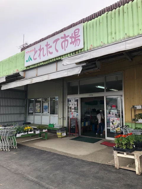 JA Kikuchi Ozutoretateichiba