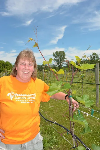 Lunch Creek Vineyards & Winery