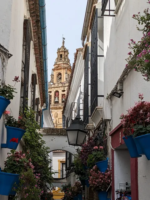 Calleja de las Flores