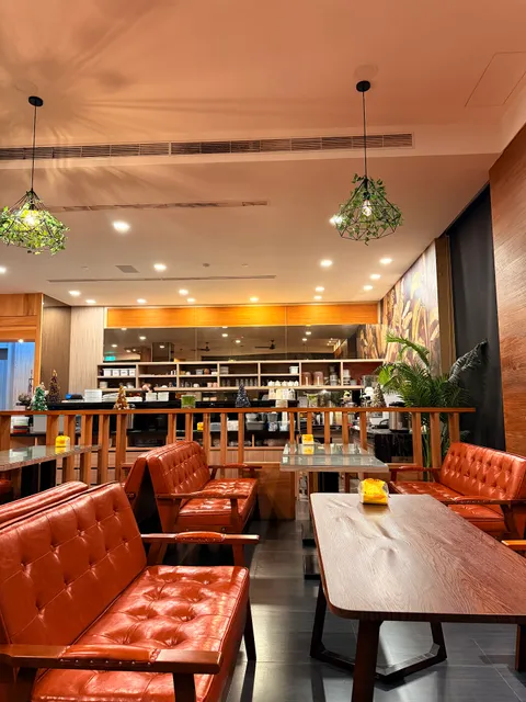 極光森林 Aurora Forest