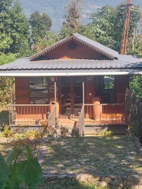 Red Panda Jungle Camp