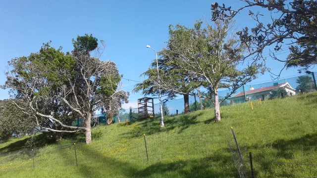 Mary Barrett Glade / Polly's Park