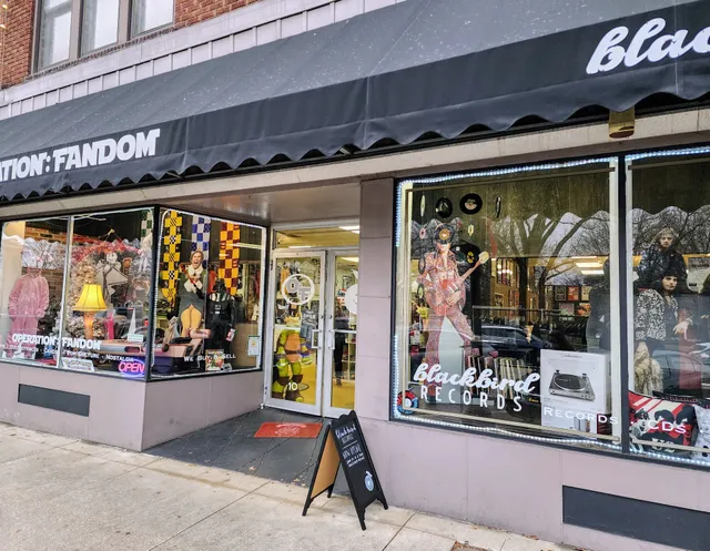 Operation Fandom Medina