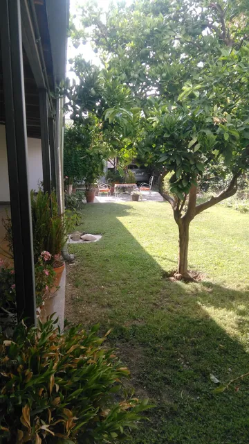 Departamento La Esperanza