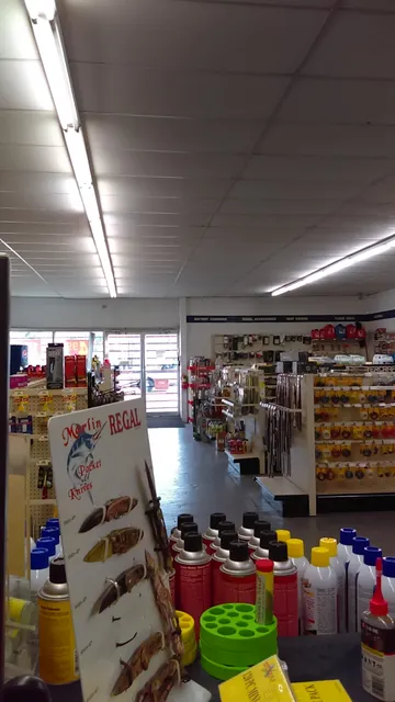 NAPA Auto Parts