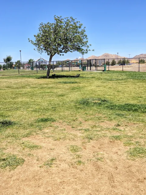 Civic Center Dog Park
