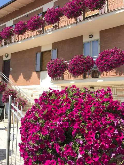 La Signora Dei Fiori