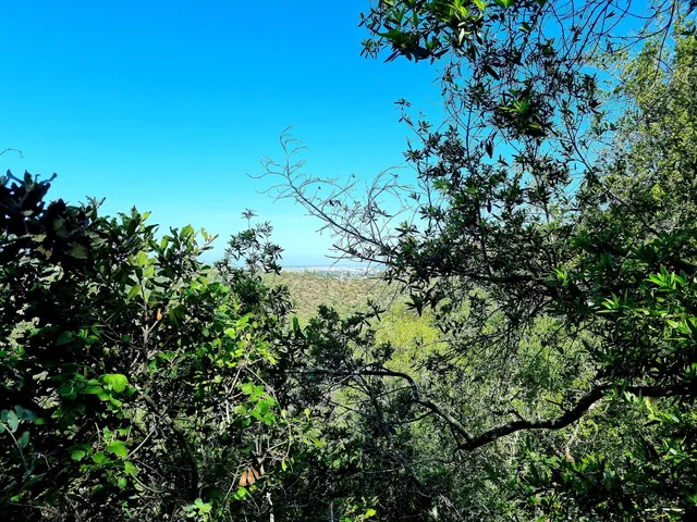 Hidden Villa Hiking Trails