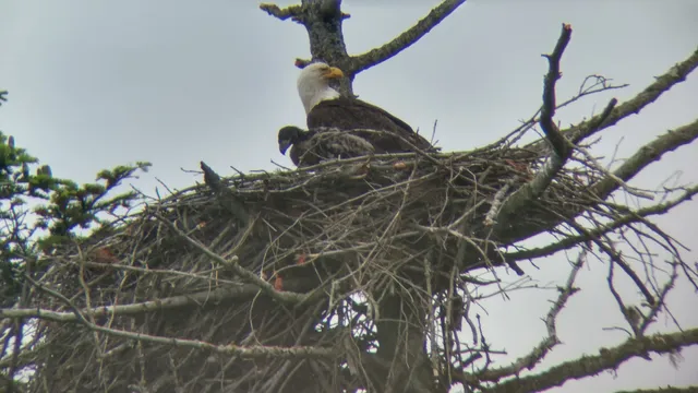 Kin Beach Provincial Park